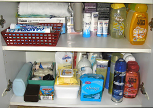 Under sink cabinet after professional organizing